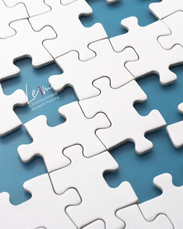 Het missende puzzelstukje is ~Leim 