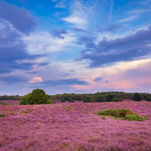 Aannames sluiten deuren, interesse opent ze